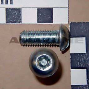 Linsenkopfschr. Din 7380 10X25 10.9 (103855773) Amazone