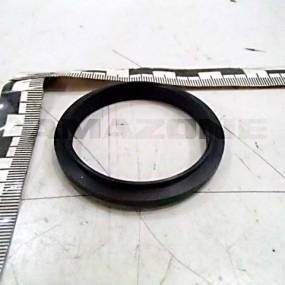 Anschlussring Fuer Esb Amazone 948859