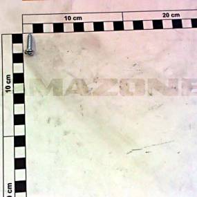 Blechschraube Iso 7049 4,8×19 C-H St Vz (Dd096) Amazone