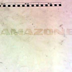 Scheibe 10,2X20,0X1,0 Pa66 Nt Amazone DF428