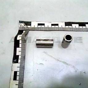 Buchse Amazone 214369