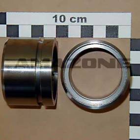 Fuehrung Amazone 918822