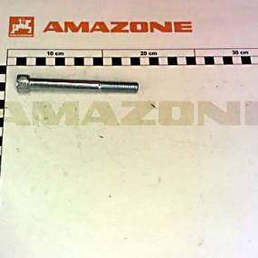 Zylinderschraube Iso 4762 12X110 10.9 Vz Amazone DA867