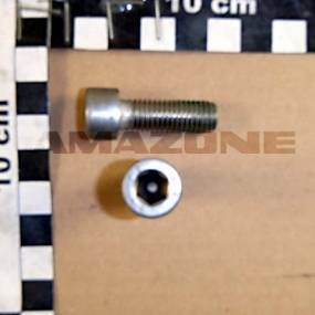 Zylinderschraube Iso 4762 10×30 A4 (Da892) Amazone