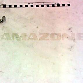 Fluegelmutter Din 315 M 8 A4-70 (De248) Amazone