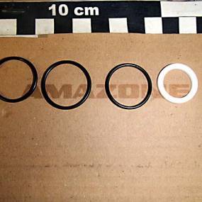 Dichtsatz Fuer Y1005504 / Y1005495 / Y10 18412 Amazone Y1018151