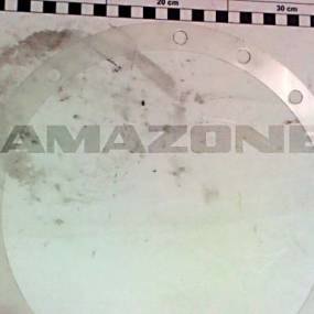 Ring Amazone Y298325603