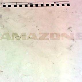 Distanzhuelse Amazone 954956