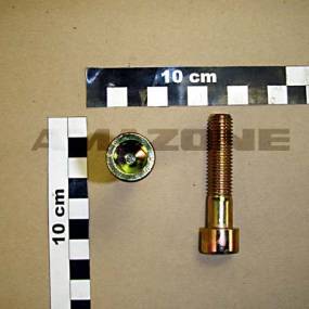 Zylinderschraube Iso 4762 12×55 8.8 Vz (Da371) Amazone