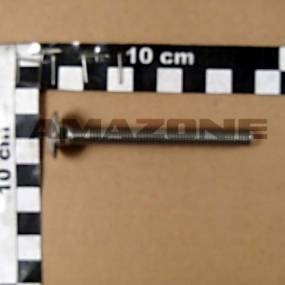 Flachrundschraube Din 603 8×80 Va (Da434) Amazone