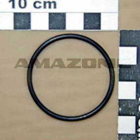 O-Ring 45,00X3,00 Amazone FC014