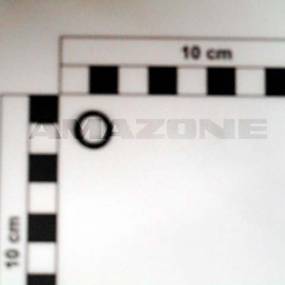 O-Ring 9,00X2,00 Amazone FC511