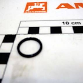 Vierlippendichtung 15,60X1,78 (Fc530) Amazone