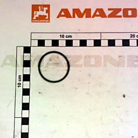 O-Ring 40,00X2,50 Amazone Y0256792300