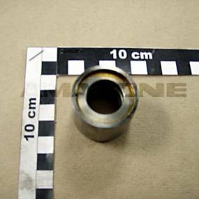 Buchse Amazone Y551080