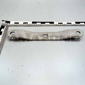 Blech Amazone 205498