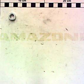 Buchse 16X10X8 Amazone 216703