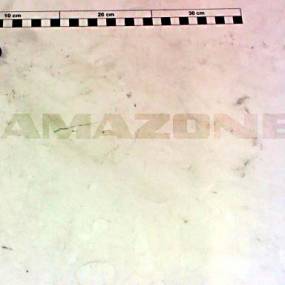 Gleitlager D=12/14/20 L=12 (Ch012) Amazone