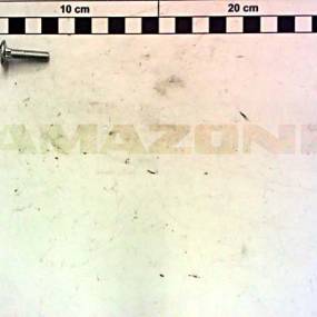 Flachrundschraube Din 603 6×25 8.8 Vz (Da733) Amazone