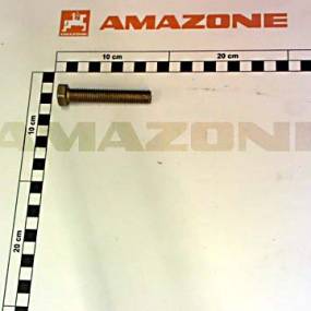 Sechskantschraube Iso 4017 12×70 8.8 Vz (Dc154) Amazone