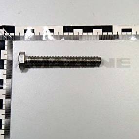 Sechskantschraube Iso 4017 10X75 Va Amazone DC380