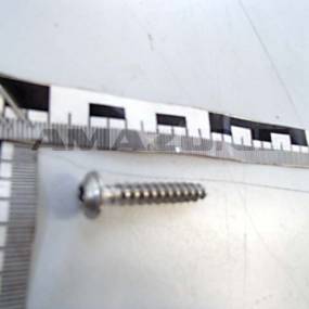 Halbrundkopfschraube 6X35 Tx25 Va (Dd568) Amazone