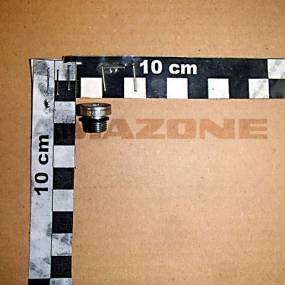 Verschlussschraube G1/8 Zoll Amazone Y1008746