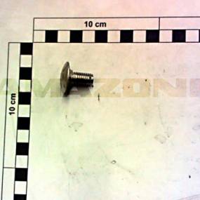 Flachrundschraube 10×20 A2-70 (1437100) Amazone