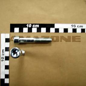 Zylinderschraube Iso 4762 12×70 8.8 Vz (Da356) Amazone