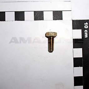 Sechskantschraube Iso 4017 6×16 8.8 Vz (Dc015) Amazone