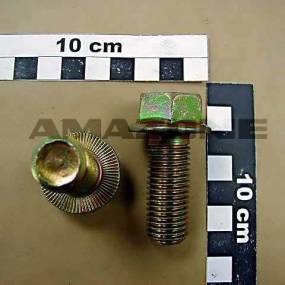 Sperrzahnschraube 16×40 80 (Dd173) Amazone