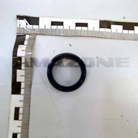 Abstreifer Wnv 22X30X5/7 (Fb031) Amazone