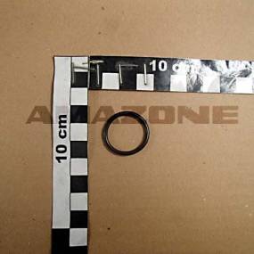 O-Ring 22,0X2,5 (Y100247890) Amazone