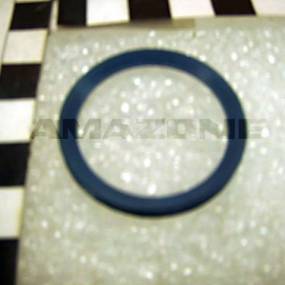 V-Ring Dichtung Amazone 1275700