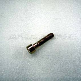 Zylinderschraube Iso 4762 10X45 8.8 Vz Amazone DA771