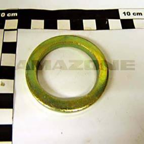 Scheibe Din 1441 41X58X6 St A2G (Df374) Amazone