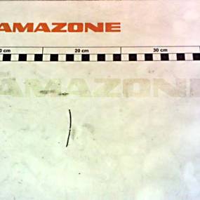 Spannstift 14X32 Alt: Di125F Amazone DI215