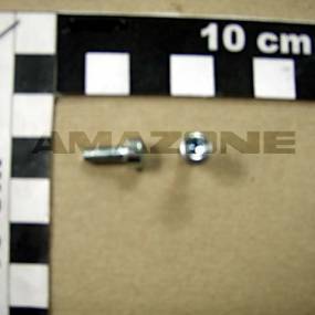 Zylinderschraube Iso 4762 4X10 8.8 Vz Amazone DA775