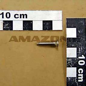 Blechschraube Iso 7050 4,2×22 C-H Va (Dd045) Amazone