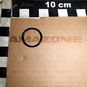 Dichtsatz Y1006482 / Y1006483 Amazone Y1018153