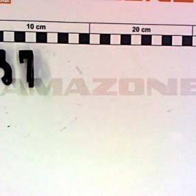 Sicherungsclip Amazone 921872