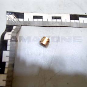 Buchse Amazone 954722