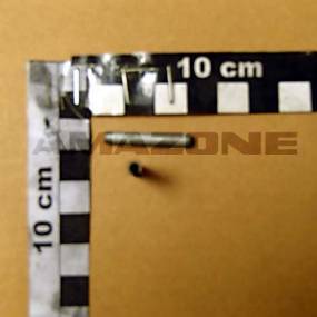 Spannstift Iso 8752 4X 28 St Amazone DI019