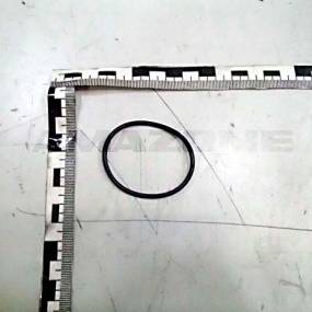 O-Ring 44,00X2,50 Amazone FC505