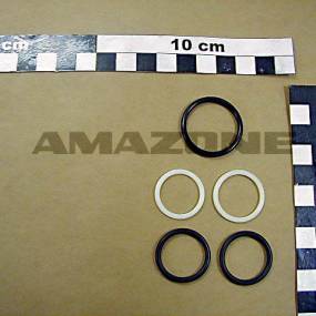 Dichtsatz Gd343 (Y100000088) Amazone