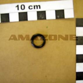 Dichtring Klein Amazone 103552888