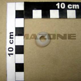 Scheibe Amazone 123973372