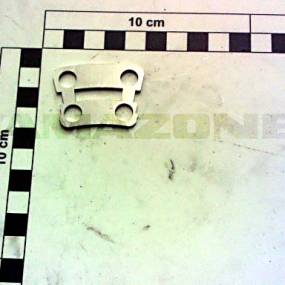 Blech Amazone 224837