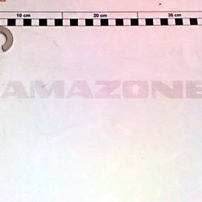 Sicherungsring D=17 Amazone 937660