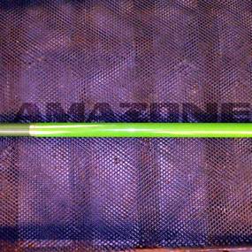 Gelenkstrebe Amazone 939670